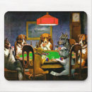 Suche nach coolidge hunde Virginia5050