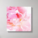 Suche nach detail leinwandbilder Rosa