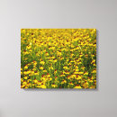 Suche nach gelbe wildblumen leinwandbilder Foto