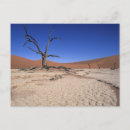 Suche nach toter baum postkarten Farbbild