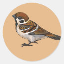 Suche nach passant Fauna