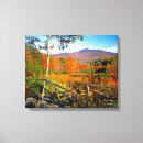 Suche nach birken leinwandbilder Herbst