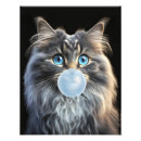 Suche nach graue katzen poster Für sie