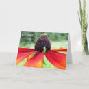 Suche nach sägen karten Blume