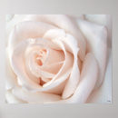 Suche nach s poster Blume