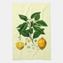 Suche nach zitronen geschirr tücher Für alle