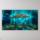 Suche nach hai poster Unterwasser