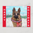 Suche nach weißer schäfer postkarten Deutscher hirte