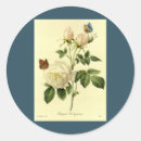 Suche nach vintage botanische drucke aufkleber Rose