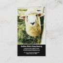 Suche nach schaf visitenkarten Lamm