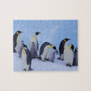 Suche nach pinguin puzzle Küste