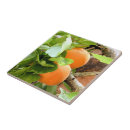 Suche nach lebensmittel fliesen Obst