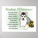Suche nach alaskan malamute poster Haustiere