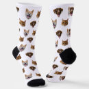 Suche nach katze socken Benutzerdefiniertes foto