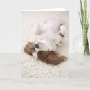 Suche nach tierkörperteil karten Hund