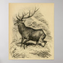 Suche nach rotwild poster Holz