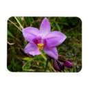 Suche nach orchideen magnete Jede person