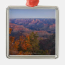 Suche nach sonnenaufgang ornamente Baum