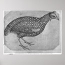 Suche nach pisanello poster 15