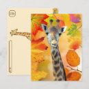 Suche nach bunte giraffe postkarten Giraffen