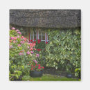 Suche nach thompson magnete Europa