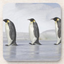Suche nach kaiser pinguin untersetzer Natur