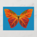 Suche nach butterfly postkarten Quelle