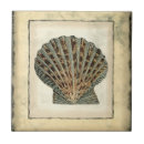 Suche nach unterwasser fliesen Ozean