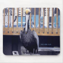 Suche nach pelikan mousepads Vögel