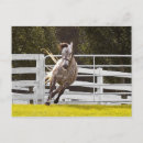 Suche nach freier läufer postkarten Für alle