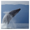 Suche nach bewegung fliesen Natur