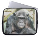 Suche nach schimpanse laptop schutzhüllen Niedlich