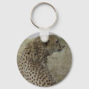 Suche nach gepard schlüsselanhänger Safari