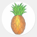 Suche nach hawaii ananas aufkleber Hawaiisch