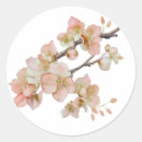 Suche nach blütenbaum aufkleber Elegant