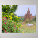 Suche nach myanmar poster Tempel