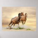 Suche nach kanten poster Wolken