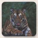 Suche nach cube untersetzer Tiger
