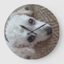 Suche nach teacup wanduhren Hund