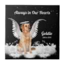 Suche nach beileid fliesen Jede person