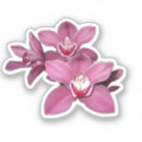 Suche nach rote orchidee aufkleber Orchideen