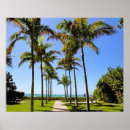 Suche nach florida strand poster Palme