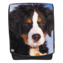 Suche nach berner sennenhund taschen Hunde