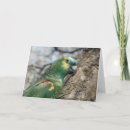 Suche nach vogel fotokarten Natur