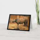 Suche nach nashorn karten Jede person