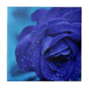 Suche nach blaue rose fliesen Für alle