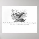 Suche nach wiedergeburt poster Asche