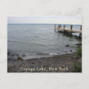 Suche nach fingerseen Cayuga