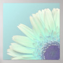 Suche nach rosa gänseblümchen poster Gerbera