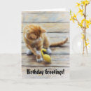 Suche nach spielerische katzen karten Kitty